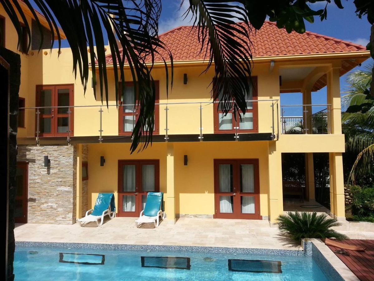 One Luxe Jamaica Villa With Private Pool, Modern Interior And Secluded Ocho Rios Eksteriør billede